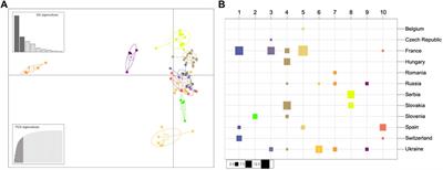 Population structure and diversity of the needle pathogen Dothistroma pini suggests human-mediated movement in Europe